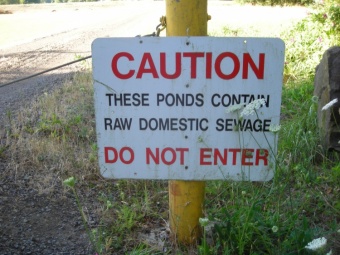 Rather than Raw EXOTIC Sewage?