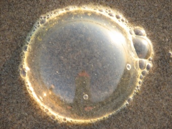Bubble on the Beach