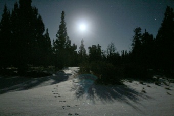 Christmas Eve Moon